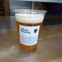 朝から昼までの営業　Whale Brewing（最終回）