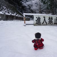 京都「狸谷山不動院」での「がん封じ祈願」。前日の雪のため閉山も、麓の自動車祈祷殿にて笹酒の接待