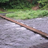 冠水橋です⭐