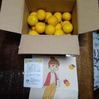 ゆずが当たりました＼(^o^)／