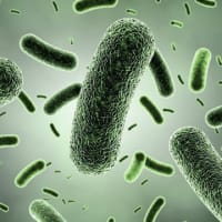 Infection Surveillance Solutions Market Size and Forecast Report 2024