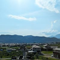 あれから１０日
