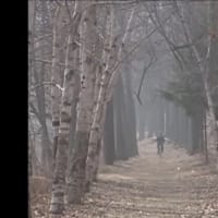 因縁の３人