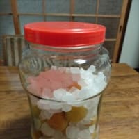 今日の予定はキャンセルに