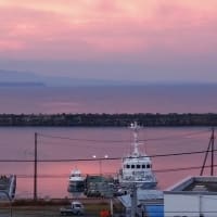 遅ればせ、11月の沖縄・大阪旅行報告