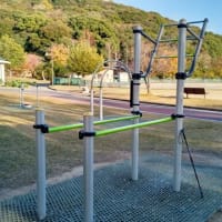 懸垂トレーニング　再開