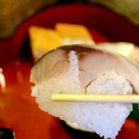京風のお寿司をいただきました-京都市伏見区：「阿津満」