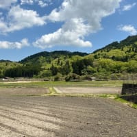 信楽焼陶器まつり　2025年5月5日