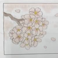 桜のお絵描き