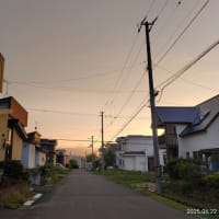 夏の素顔