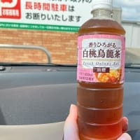 最近のはまりもの