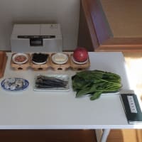 令和七年一月一日　吉野稲荷歳旦祭