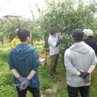 みやぎ食材伝道士認定に向けた生産現場実習「りんごの摘果作業」が 亘理町の遠藤果樹園で開催されました