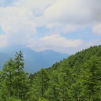 夏の櫛形山（山梨県百名山）