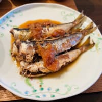 数日間の夕ご飯