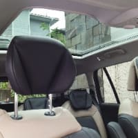 ■　Citroen Ｃ４　Picasso
