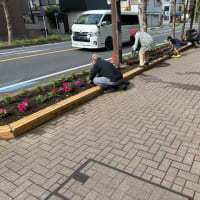 2025年5月11日本町小学校前　花植え