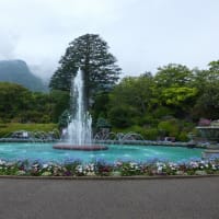 素敵な公園　強羅公園（２０２５年５月１９日撮影）