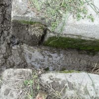 待ったなし