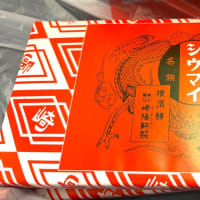 新幹線に乗車するときはコレ！！