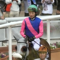 競馬場へ散歩