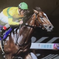 ラジオNIKKEI盃若潮スプリント＆注釈の価値