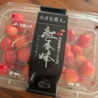 ランチは残り物とクレカの引き落とし