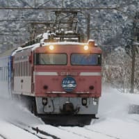 冬の新疋田駅