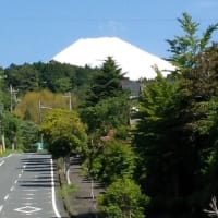 230516_散歩中にみた富士山