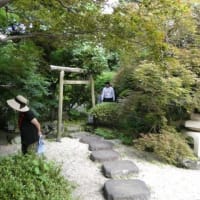 バスツアーに行ったのよ♬　後編　小江戸川越の散策は和三盆作り体験でございますの☆