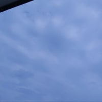 蒸し暑うぅぅ