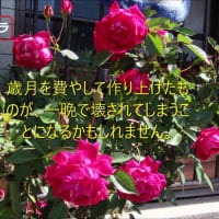 2024ー06（👴）生涯学習～日本名作１００選と我が家の花壇の花コラボ！
