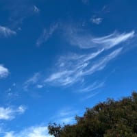 今日の空