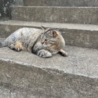 離島100巡り　39/100  相島（福岡県新宮町）
