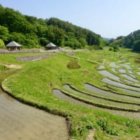 20250522の天気＠八ヶ岳