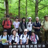 第29回ハイキングおじさんに行こう！　の再度公園とアジサイ巡り