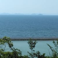 「米」の文字がある夏の俳句