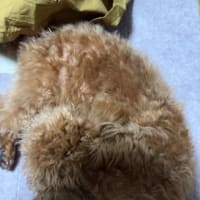 慣れてくるのか