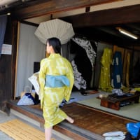 絞り祭り模様　　有松