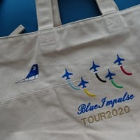 ブルーインパルスの展示飛行