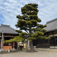 緊急事態宣言　延長！