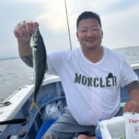７月 ２日 (水) 💫黄金アジ爆💥💥トップ㊗️１２５匹❗次１０２匹❗午後㊗️３１匹❗😁✨
