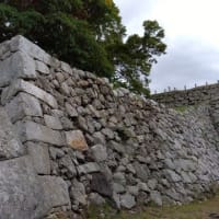 242（福井）小浜 オバマどらやき