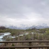 久しぶりの投稿です。
