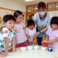 ７月１日　印野こども園で、日本茶教室