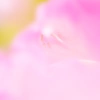 untitled.