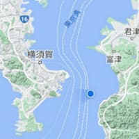 オレのスッテを抱いてくれ