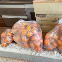 バチが当たった