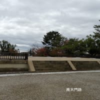 06/18奈良京都への旅-5（興福寺、）