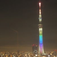 日向坂46の虹開催記念特別ライティング 3